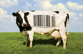 Food, Inc.