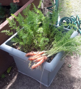 Self-watering planter